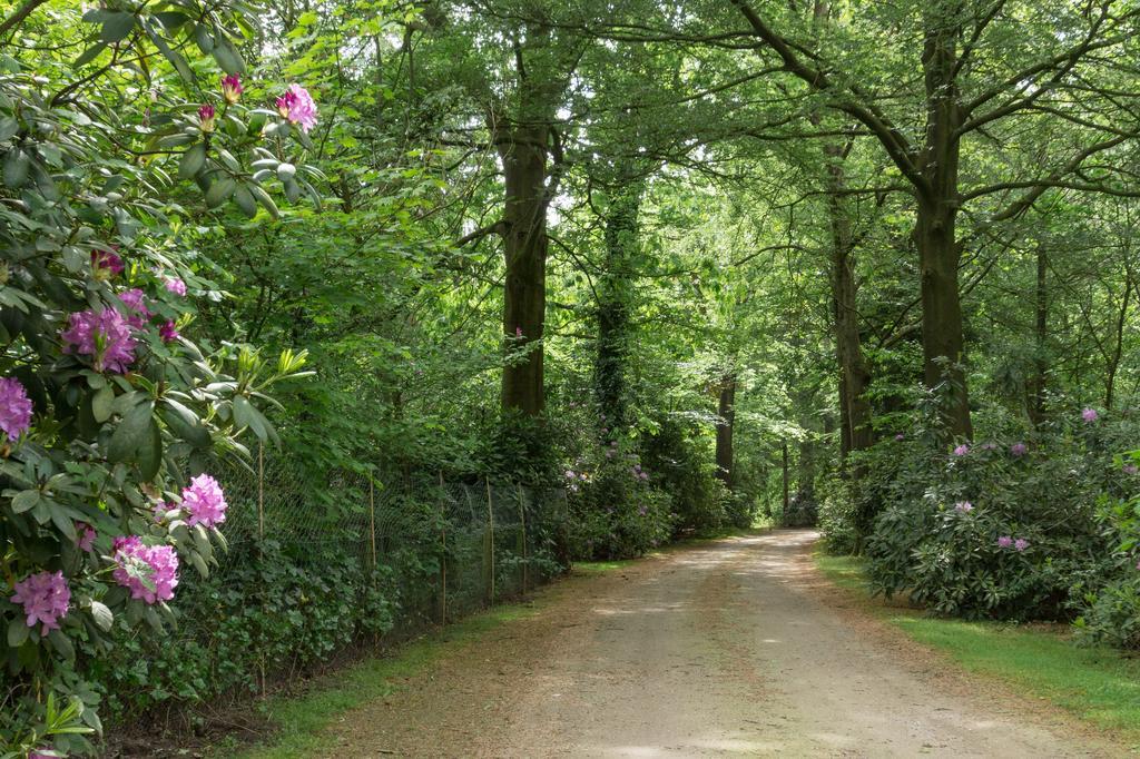 Bungalowpark Vogelenzang Βίλα Lage Mierde Εξωτερικό φωτογραφία