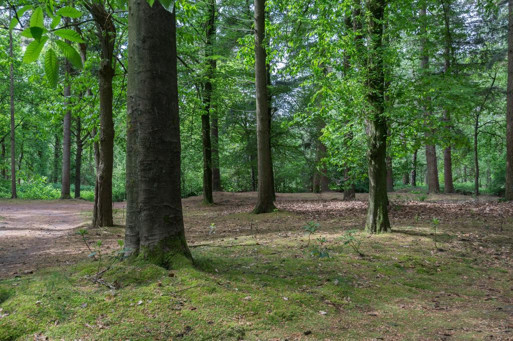 Bungalowpark Vogelenzang Βίλα Lage Mierde Εξωτερικό φωτογραφία