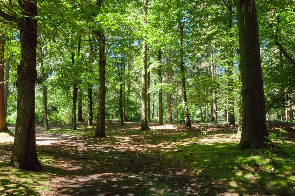 Bungalowpark Vogelenzang Βίλα Lage Mierde Εξωτερικό φωτογραφία