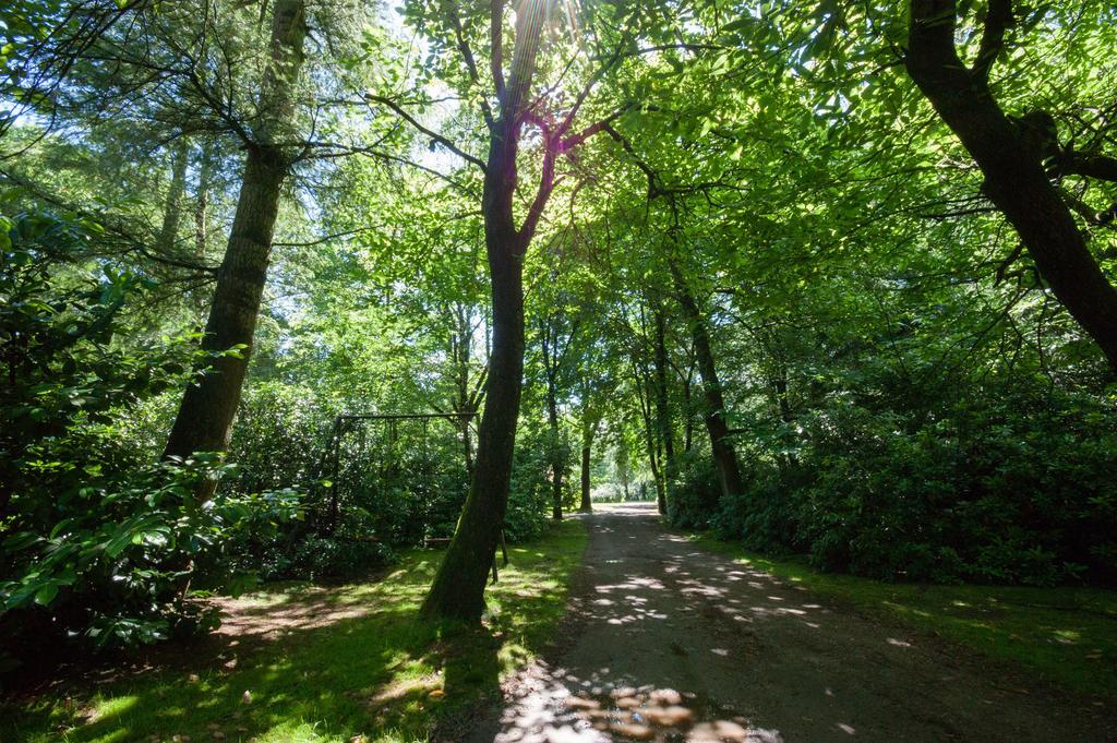 Bungalowpark Vogelenzang Βίλα Lage Mierde Εξωτερικό φωτογραφία